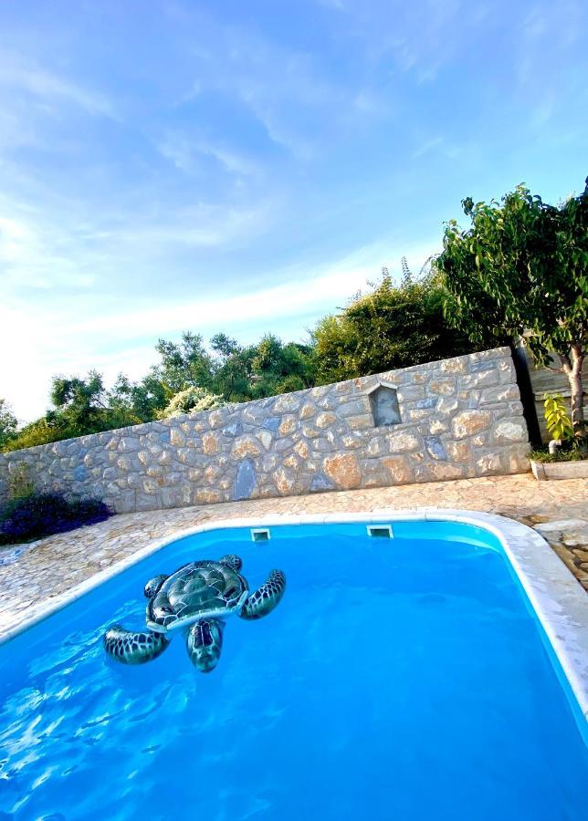 Villa Cvita Povljana Exterior photo